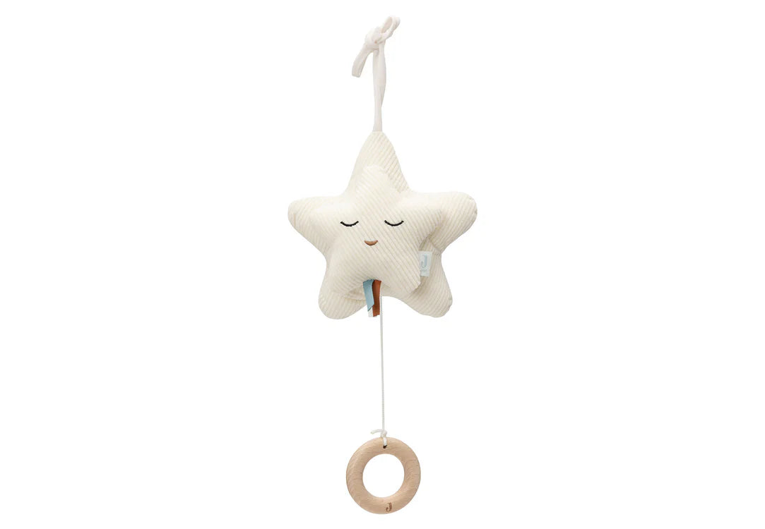 Star ▪ Muziekhanger Ivory