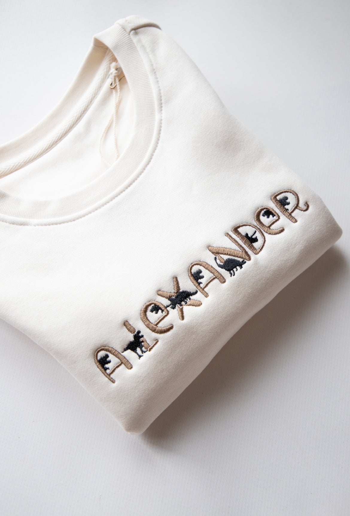 Naamsweater ▪ Dino ▪ 4 jaar tot 10 jaar