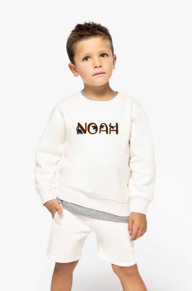 Naamsweater ▪ Dino ▪ 4 jaar tot 10 jaar