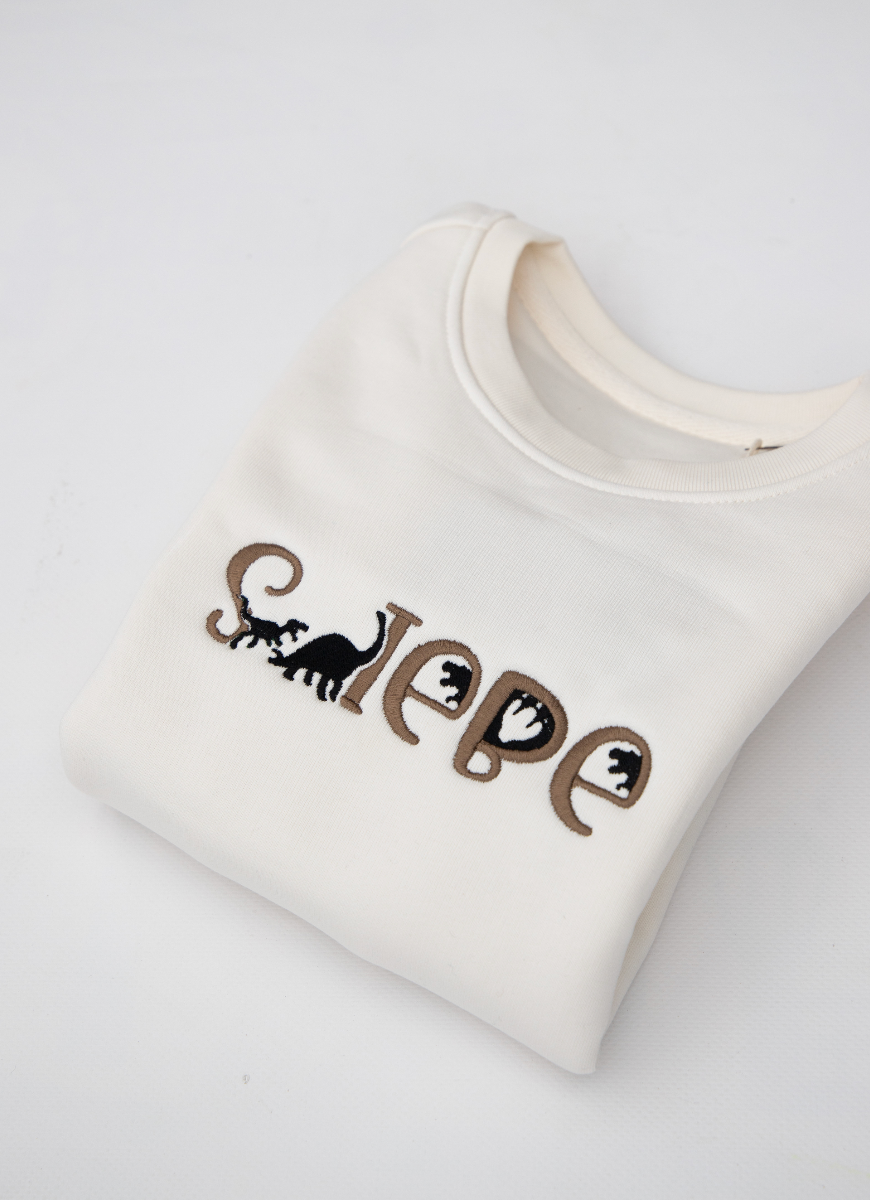 Naamsweater ▪ Dino ▪ 4 jaar tot 10 jaar