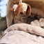 Animal Friends ▪ Wagenhanger Diego