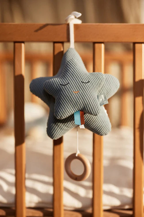Star ▪ Muziekhanger Sea Green