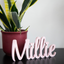 3D print • Naam geschreven letters