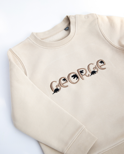 Naamsweater ▪ Dino ▪ 6M tot 36M